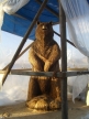 bear-photo 1