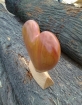 Heart of Love II foto 4
