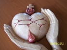 Sacred Heart II.- photo 2