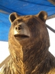 bear-photo 6